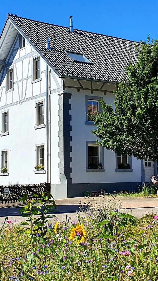Apartment Kerbholz - Zwischen Suedschwarzwald Und Schweiz Griessen Bagian luar foto
